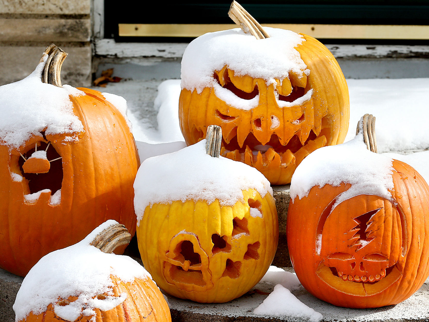Snow covered pumpkins on Losey Boulevard